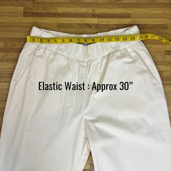 Everlane’s The Easy Pant, NWT L - Picture 10 of 16